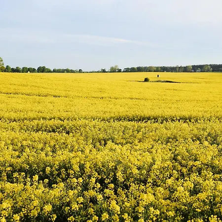 C8 Mit Balkon & Nutzung Der Wellness- & Aktivbereiche Im 