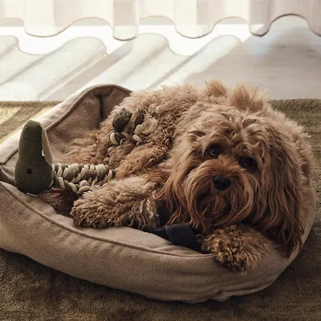 公寓 C8 Mit Balkon & Nutzung Der Wellness- & Aktivbereiche Im 