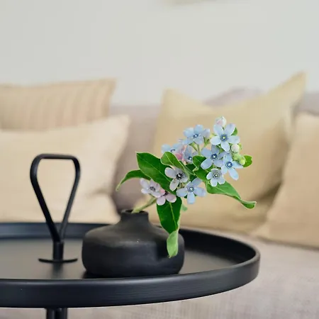 公寓 C8 Mit Balkon & Nutzung Der Wellness- & Aktivbereiche Im 